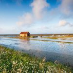 Jak błędna regulacja armatury wpływa na wzrost ukrytych i trudnych do wykrycia strat wody